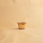 Load image into Gallery viewer, Infusion Mug Set - foliage, Beige